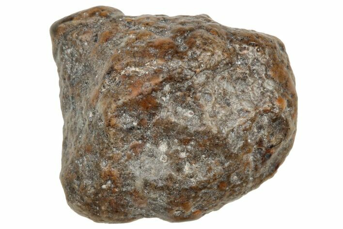 Lunar Meteorite ( g) - NWA #304711